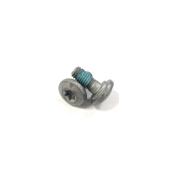Parafuso Especial M8 x 18 Torx45 SS