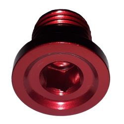 Vis 4MX Gas Gas EC 01-...... 2