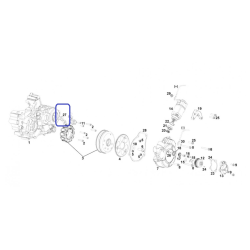 Multifisection et support...
