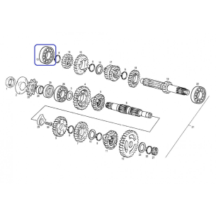 Rodam.6202/C3