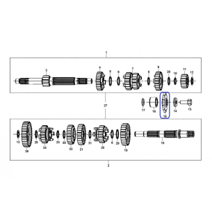 Piñon Output Z-12 EC Cami 2014