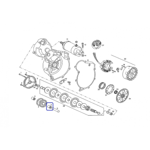 Rodam.gujas hk1012