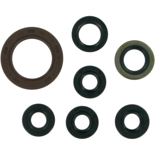 Kit Retenes Motor Moose...