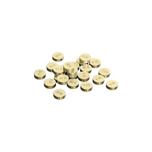 Pastilla de reglaje 10.00mm