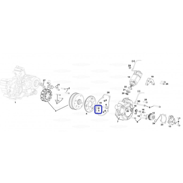 Screw Torx with Washer 5X8 Gas Gas