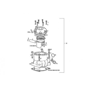 Kit Cylindre + Piston Gas...