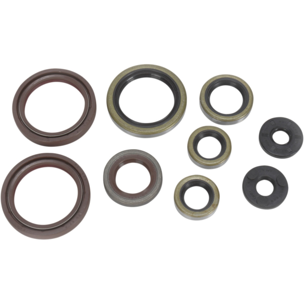 Kit Retentores Motor Motor Moose...