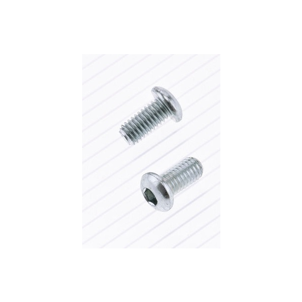 Parafuso Cabeça Redonda Bolt M6 X 1 X...