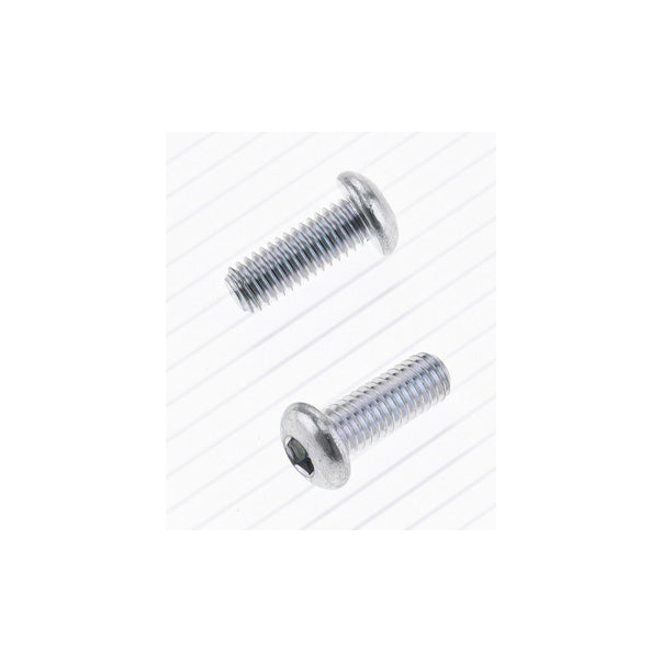 Parafuso Cabeça Redonda Bolt M6 X 1 X...
