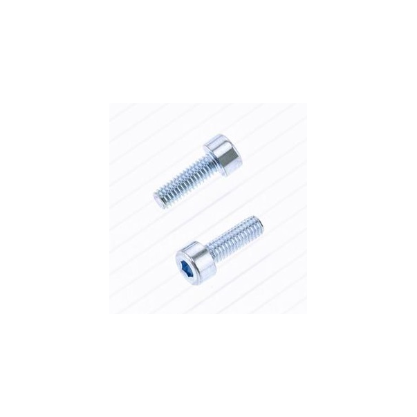 Parafuso BTR Bolt M4 X 0,7 X 12