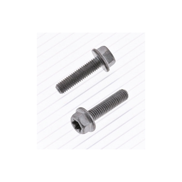 Parafuso Cabeça Hexagonale Long/Torx...