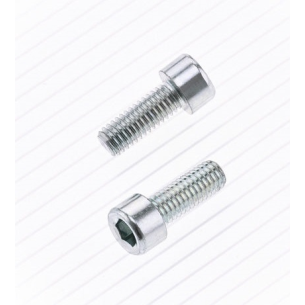 Parafuso BTR Bolt M6 X 1 X...