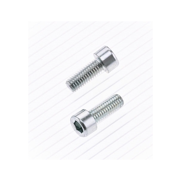Vis BTR Bolt M6 X 1 X 12mm