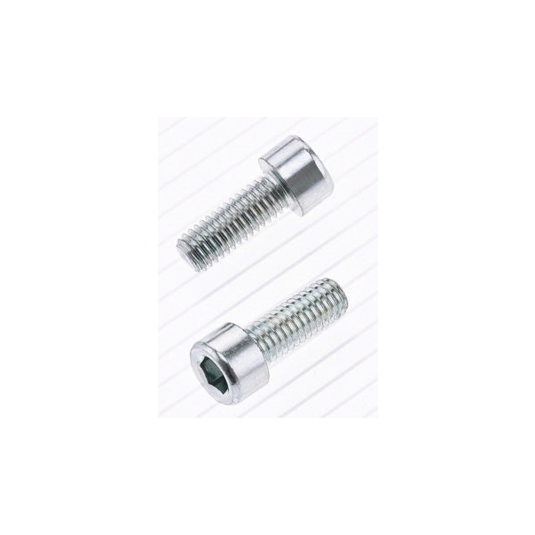 Parafuso BTR Bolt M6 X 1 X 16mm
