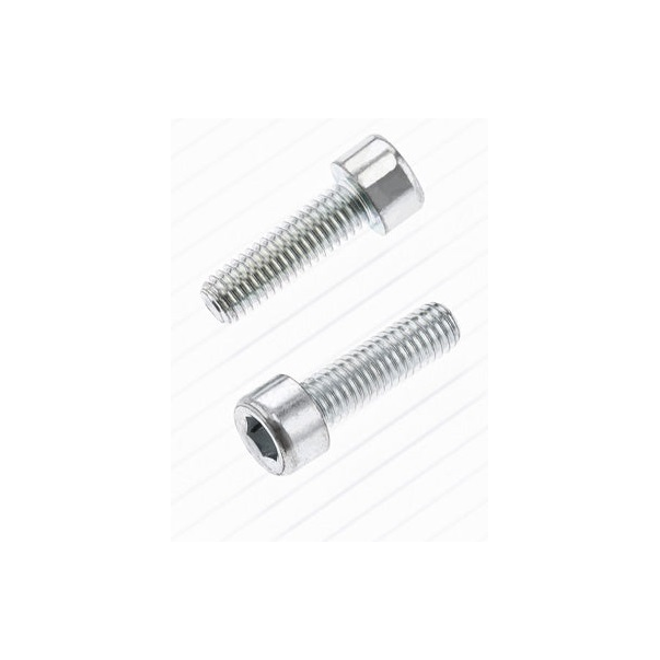 Parafuso BTR Bolt M6 X 1 X 20mm