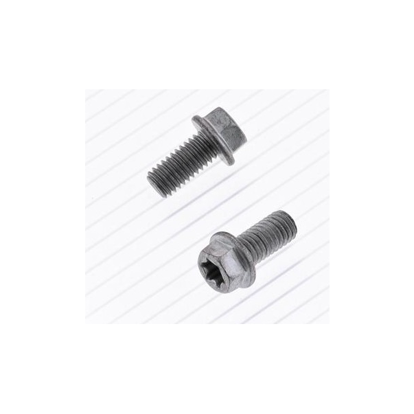 Parafuso Cabeça Hexagonale/Torx Bolt...