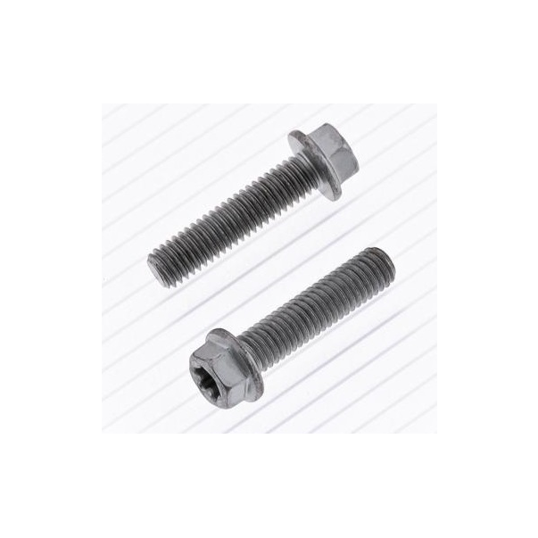 Vis Tête Hexagonale/Torx Bolt M6 X...
