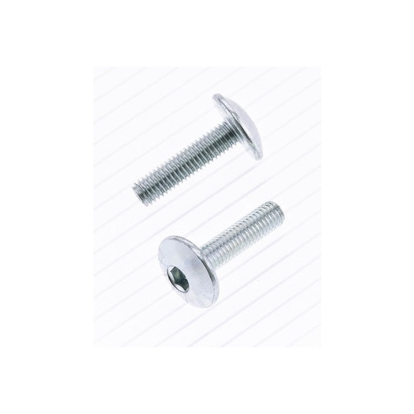 Screws Bolt M5 X 0,80 X 20mm