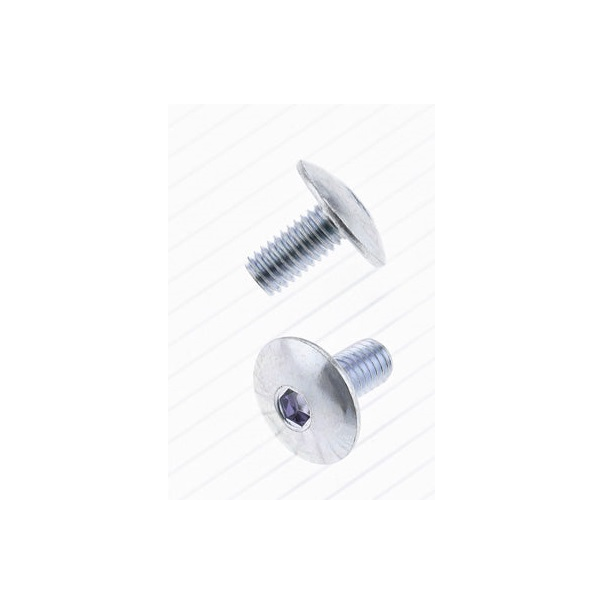 Parafuso Cabeça Redonda Bolt M6 X...