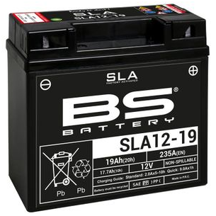 Batterie BS Battery SLA12-20