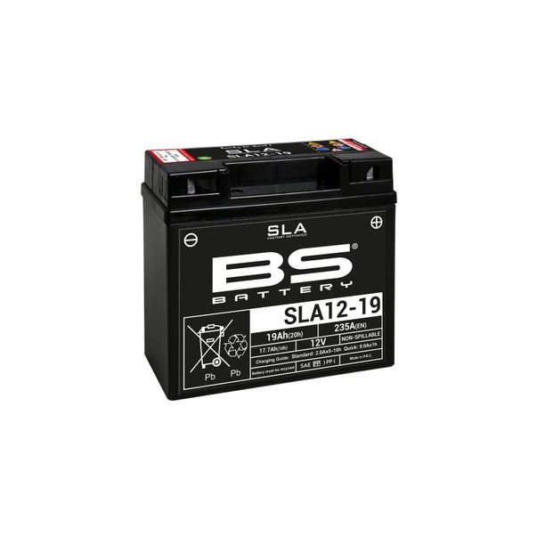 Batería BS Battery SLA12-20