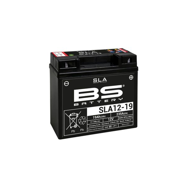 Batterie BS Battery SLA12-20