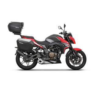 3P 300R MOUNTING SYSTEM 2