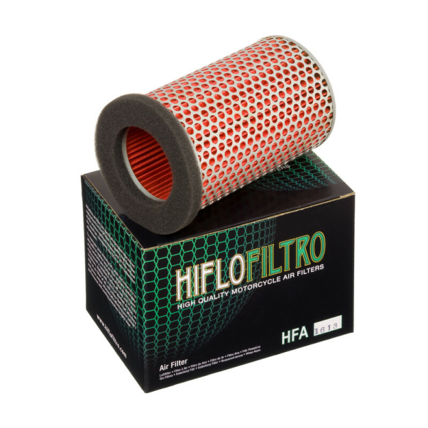 Filtro Aire Hiflofiltro HFA1613