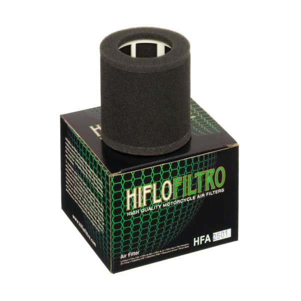 Filtro De Ar Hiflofiltro HFA2501