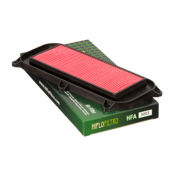 Filtro Aire Hiflofiltro HFA5003
