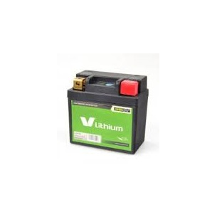Bateria Litio Skyrich LFP01...