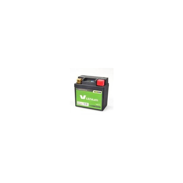 Bateria Litio Skyrich LFP01...