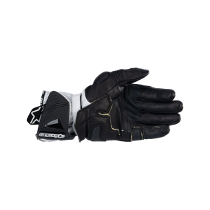 Guantes Alpinestars Gp Pro... 2