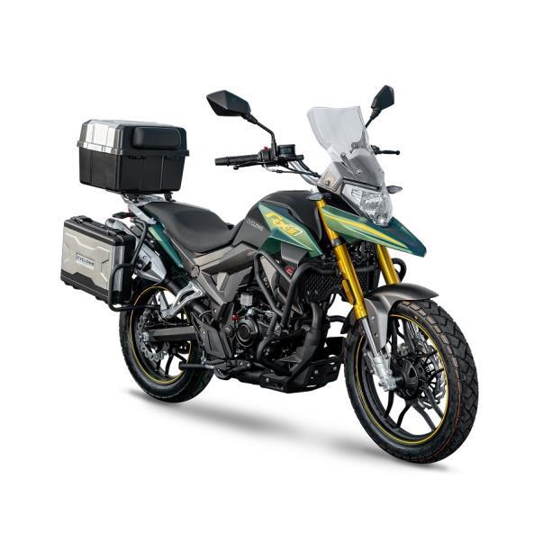 CYCLONE RX1 PRO EURO 5+ Verde