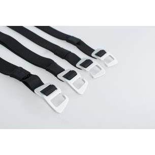 Set de correas Legend Gear... 2