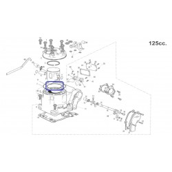Toric colate int.Viton...