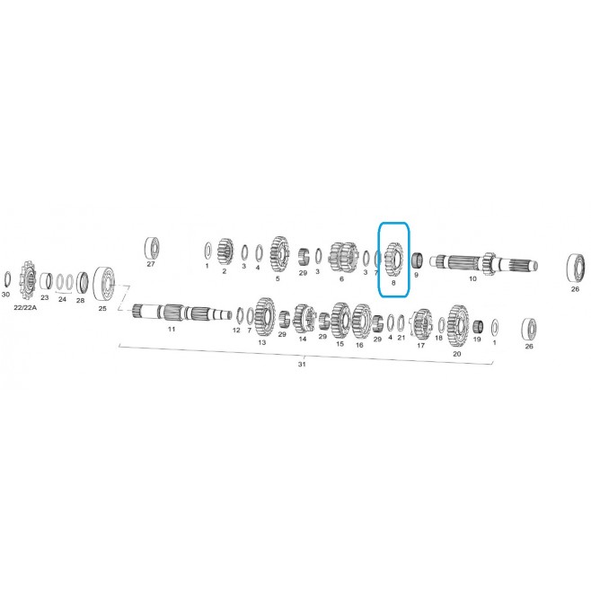 Primary Piñon V Z-23