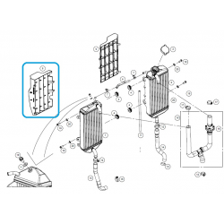 Grille Radiateur Gauche Gas...