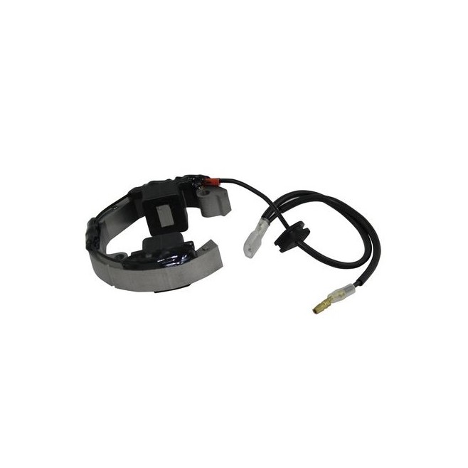 Stator KTM SX 50 2010