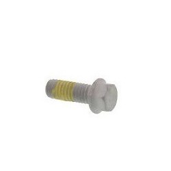 Parafuso Especial M6X16