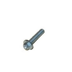 Vis KTM M5X25 WS6