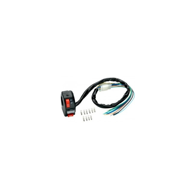 Generic Annular Switch With Flashing