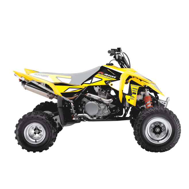 Kit Adesivos Blackbird Dream 2 Suzuki...