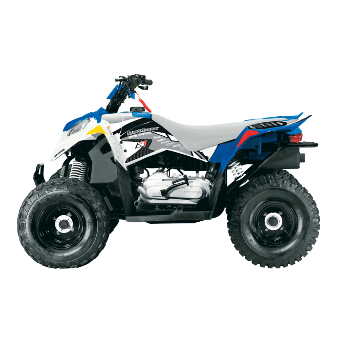 Graphic Kit Blackbird Dream 2 Polaris...