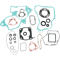 Engine Gasket Kit with...