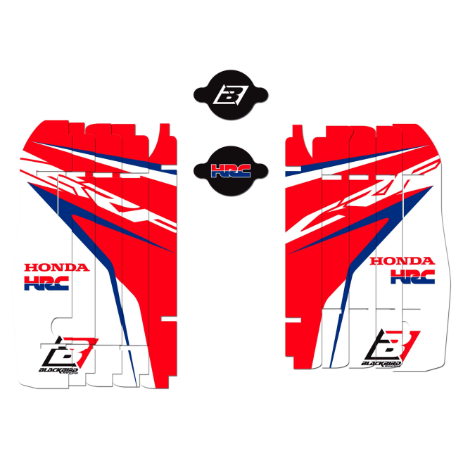 Kit Adesivos Radiador Blackbird Team...