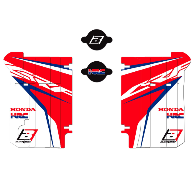 Kit Adesivos Radiador Blackbird Team...