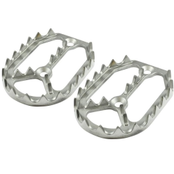 Plaques Dentés...