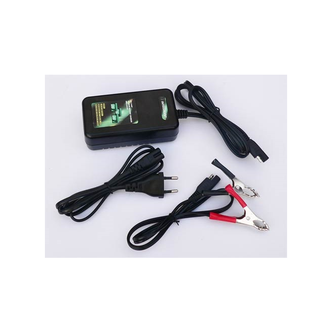 Battery Charger Skyrich litio 12V / 2A