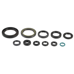Kit Retentores Motor Athena...